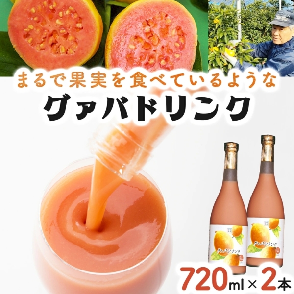 宮崎果汁　グァバドリンク720ml　2本セット