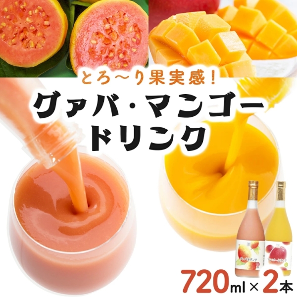 宮崎果汁　フルーツドリンク2本セット（GM）