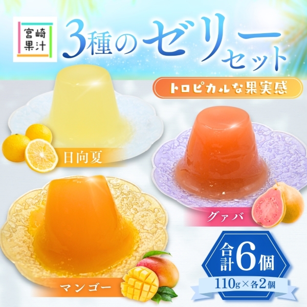 【トロピカルな果実感！】宮崎果汁 3種のゼリーセット6個入り（送料無料）