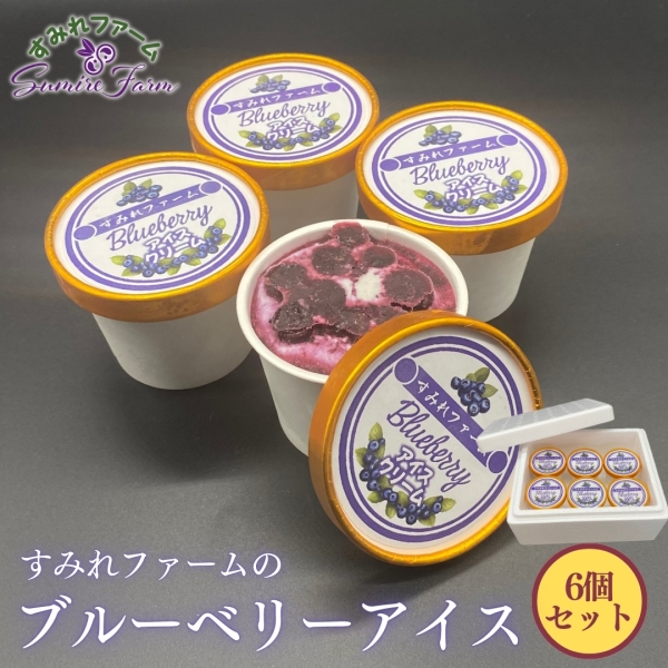 ブルーベリーアイスクリーム６個セット
