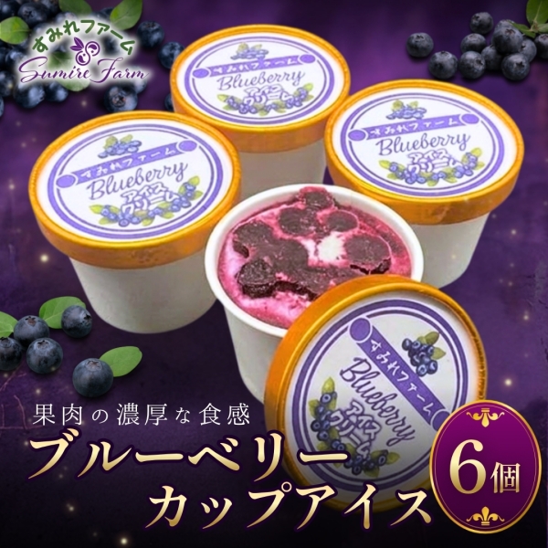 ブルーベリーアイスクリーム６個セット■