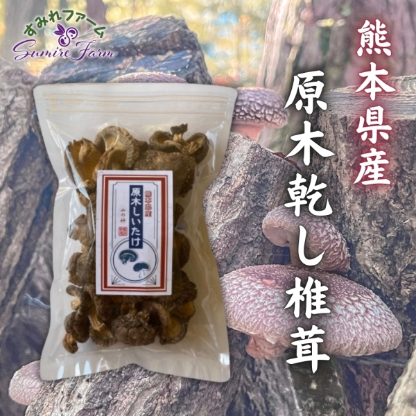 【熊本県産】原木乾し椎茸