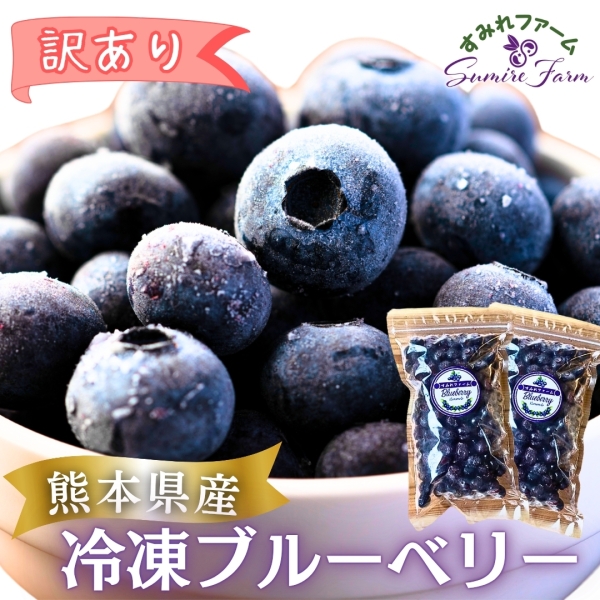 《訳あり》【熊本県産】ブルーベリー(冷凍)＜1㎏・1.5㎏＞
