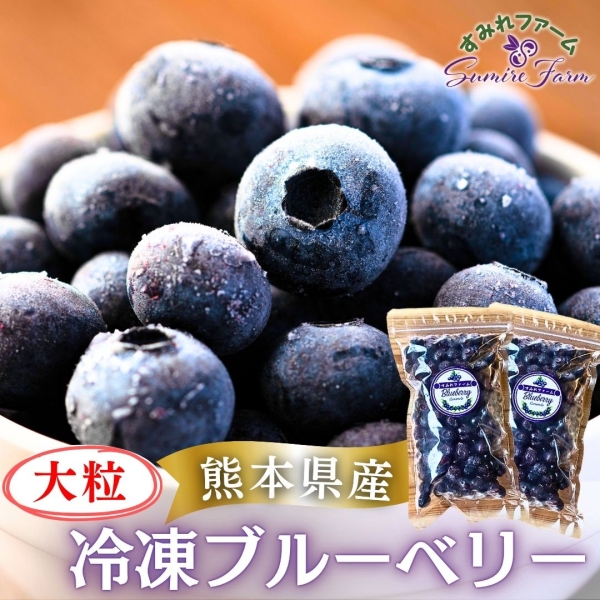 【熊本県産】大粒ブルーベリー(冷凍)■