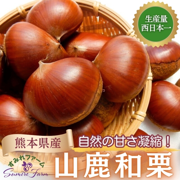 【熊本県産】山鹿和栗■