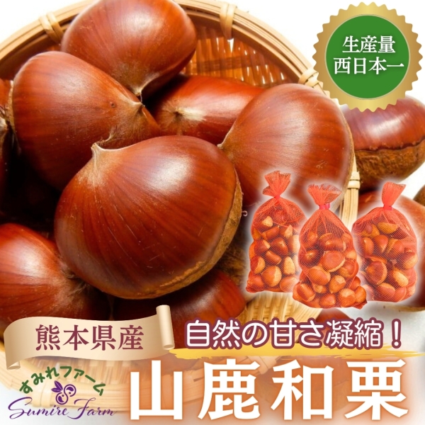 【熊本県産】山鹿和栗■