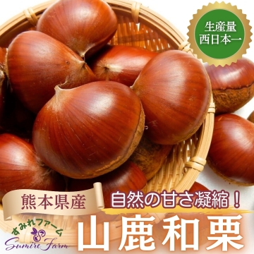 2024年収穫分　むき栗　熊本山鹿産　冷凍 2024年収穫分 山鹿和栗 むき栗 （食の王国“山鹿” うまかもん