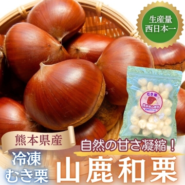 Y☆1061 mall　九州送料込み よかもーる｜南九州の特産品,お土産,ギフトまで｜南九州最大級の