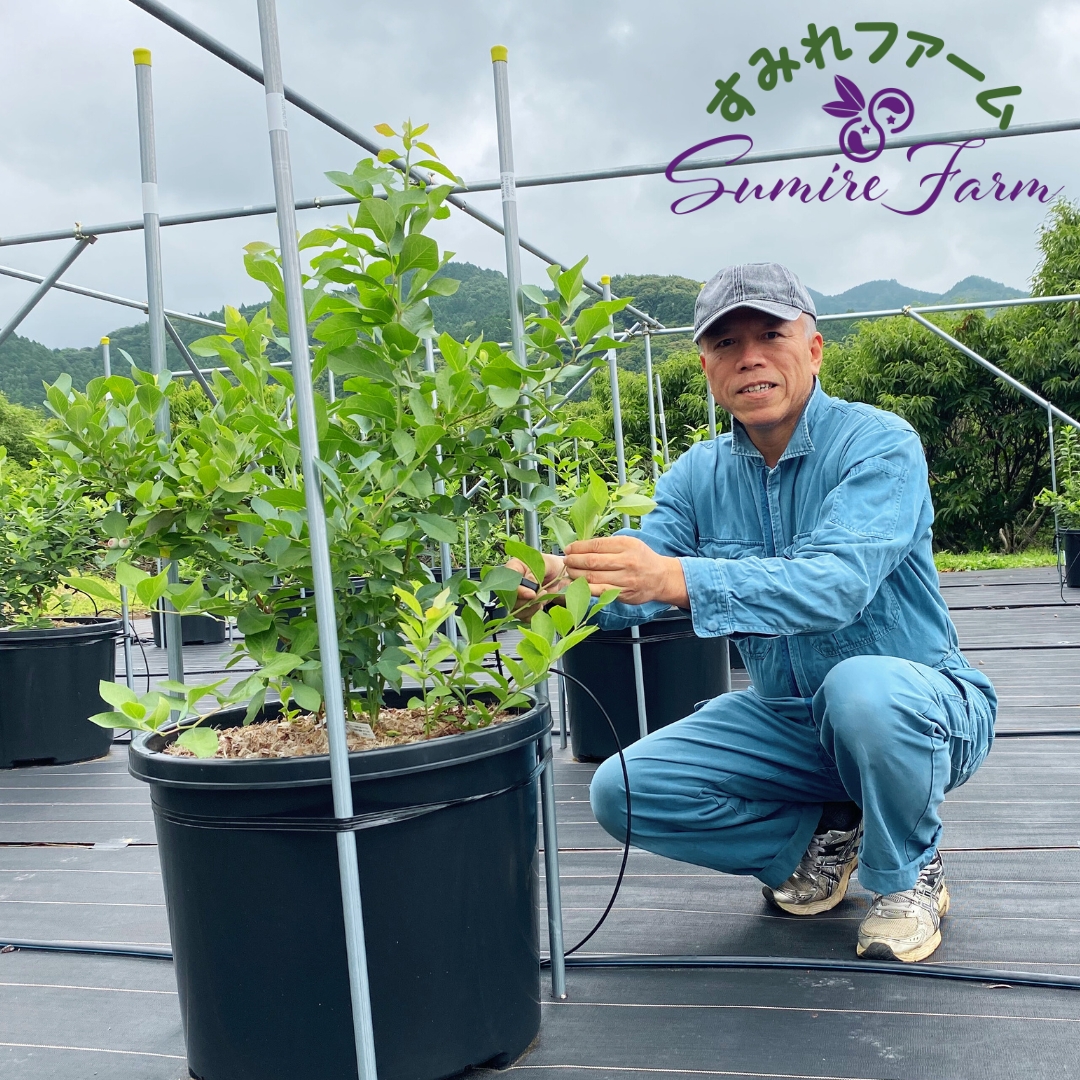 すみれファーム