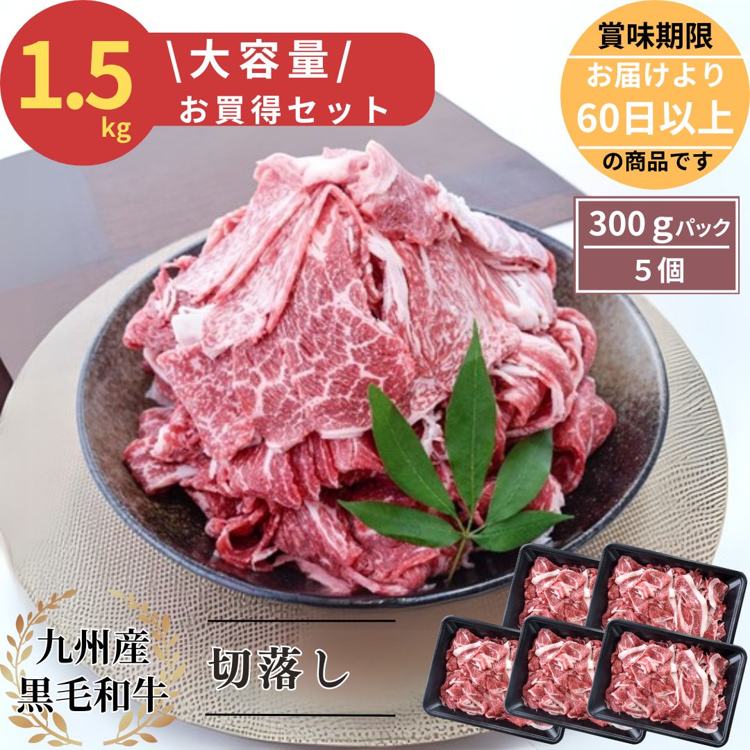 大容量！九州産黒毛和牛切落し