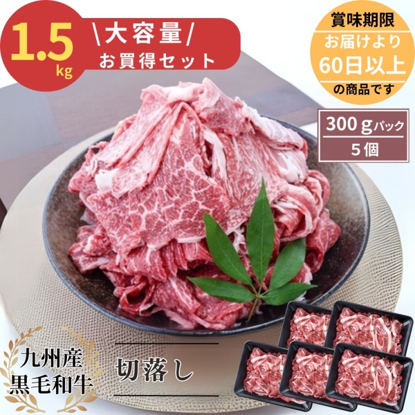 大容量！九州産黒毛和牛切落し