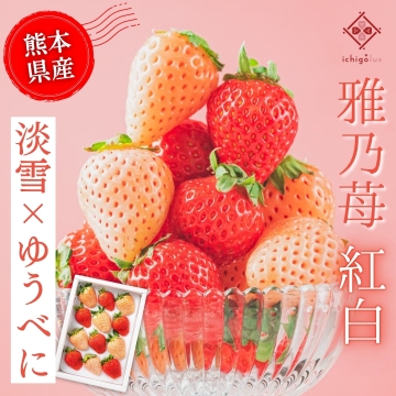 雅乃苺【紅白】 イチゴラス
