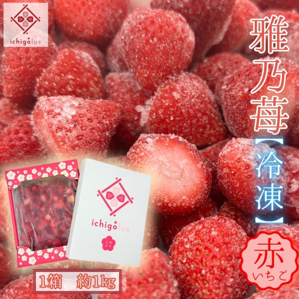 雅乃苺【冷凍】赤