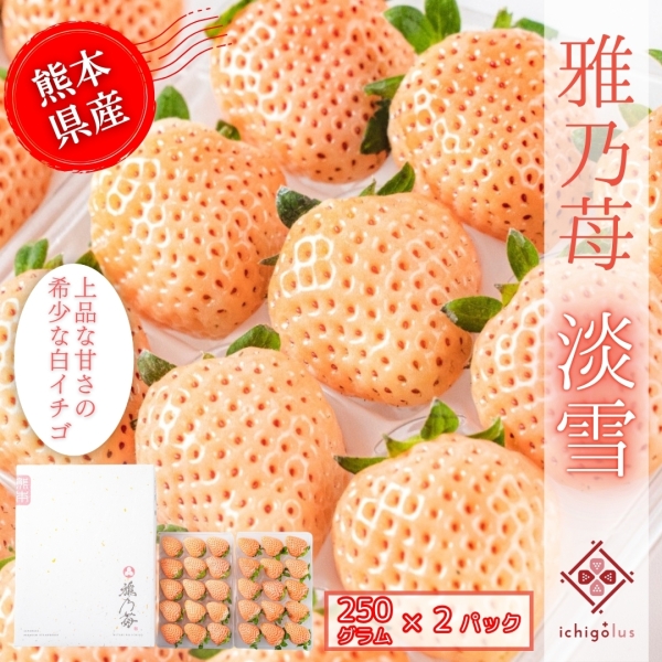 雅乃苺【淡雪】