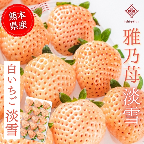 雅乃苺【淡雪】