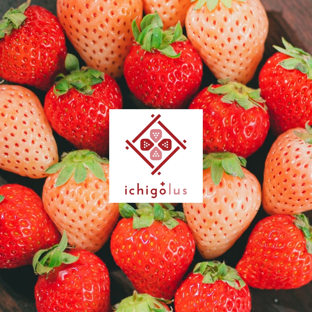 イチゴラス