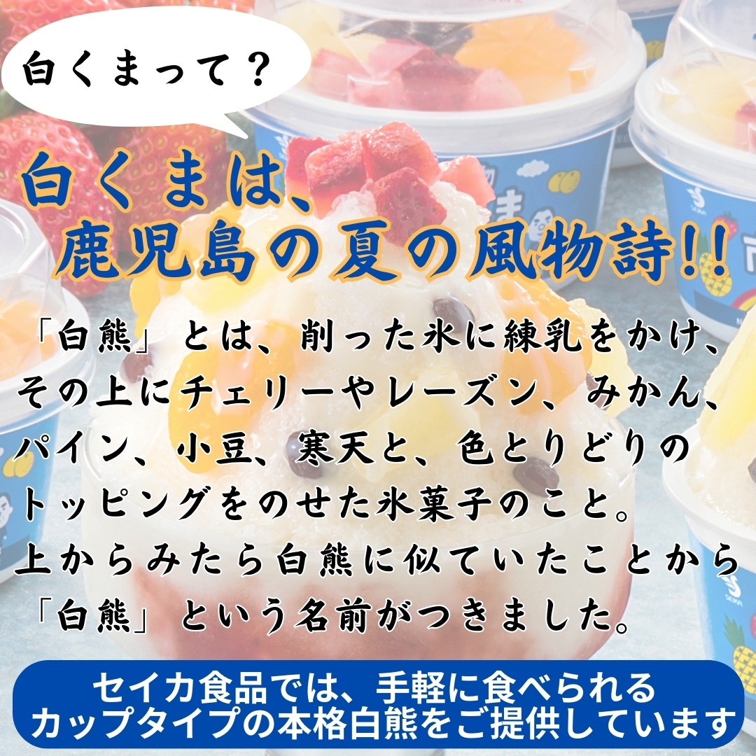 南国白くまDX詰合せセット(SDX-43) セイカ食品