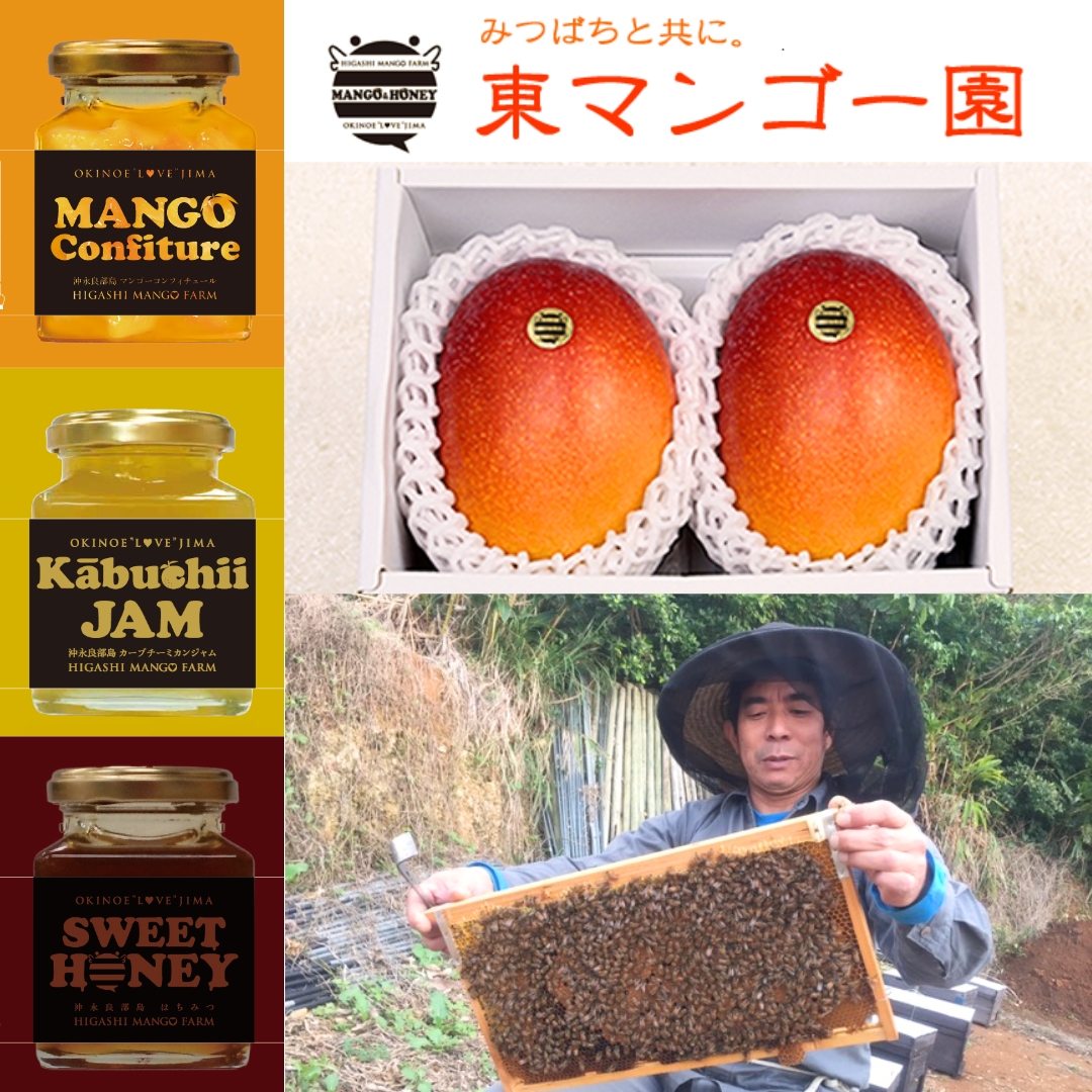 東マンゴー園