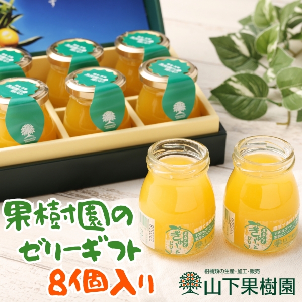 果樹園のゼリーギフト