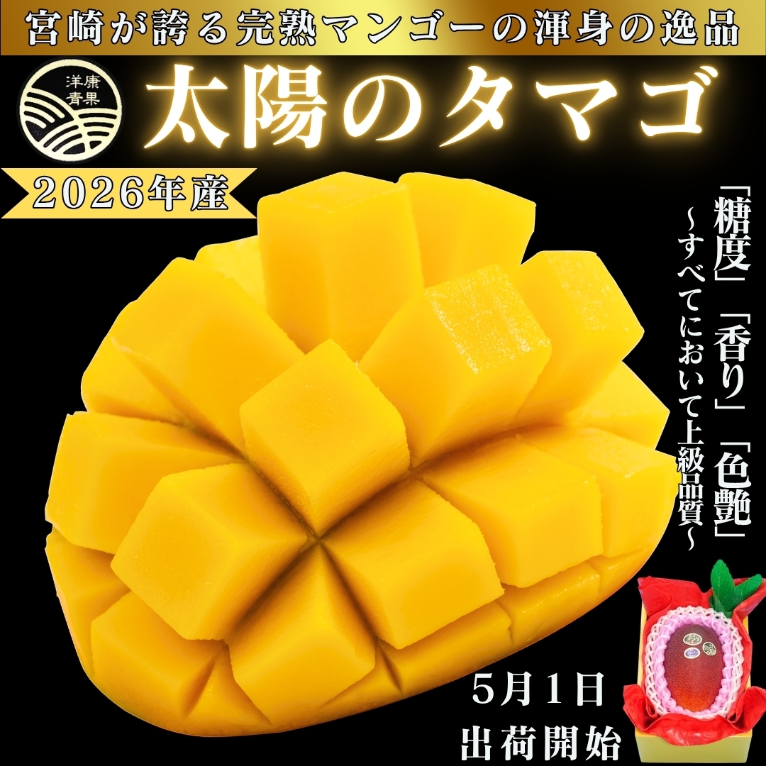 2026年産】宮崎県産完熟マンゴー「太陽のタマゴ」(2L~3L) 洋康青果