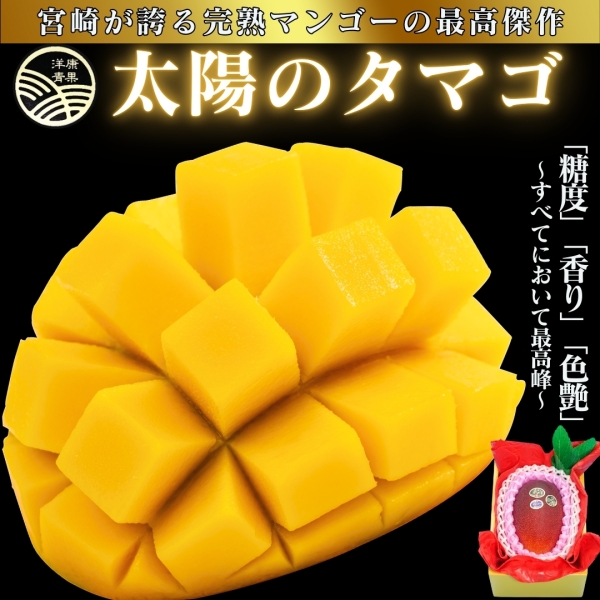 宮崎県産完熟マンゴー「太陽のタマゴ」(2L~3L)