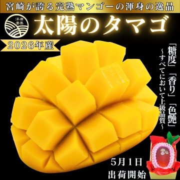 2026年産】宮崎県産完熟マンゴー「太陽のタマゴ」(2L~3L) 洋康青果