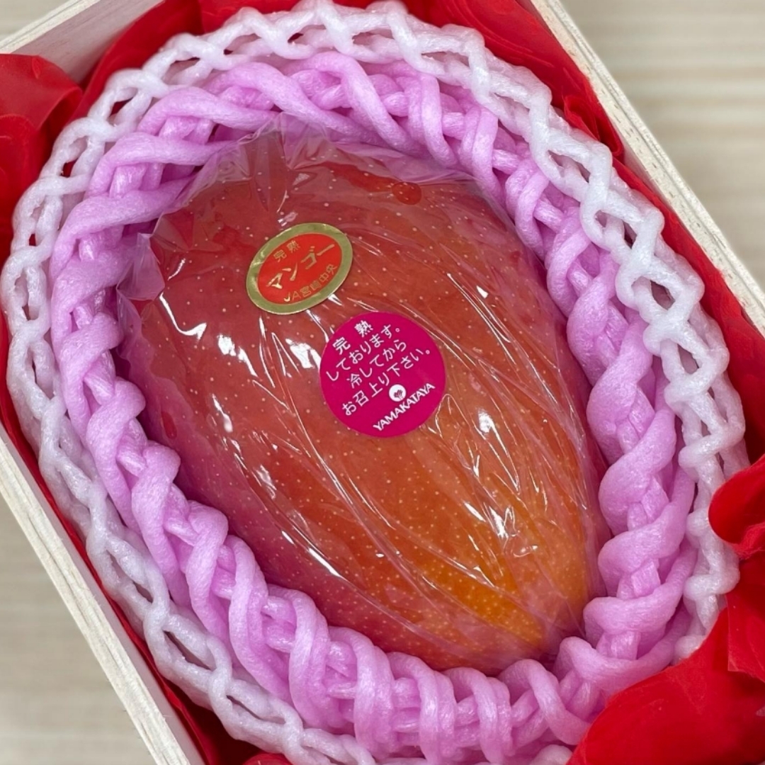 2026年産】宮崎県産完熟マンゴー 2L/3L/4L（1～2玉） 洋康青果