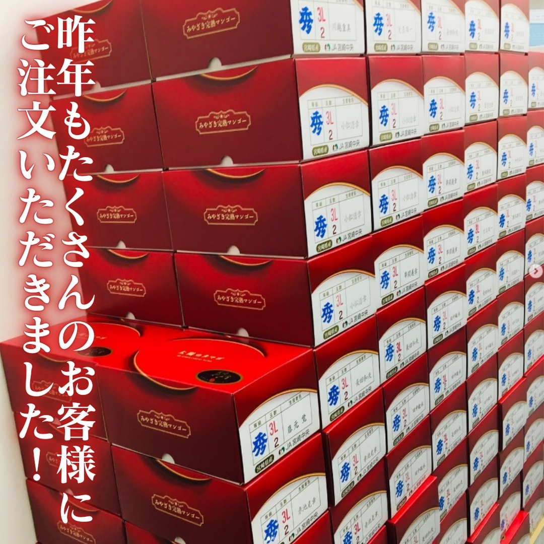 2026年産】宮崎県産完熟マンゴー 2L/3L/4L（2玉） 洋康青果