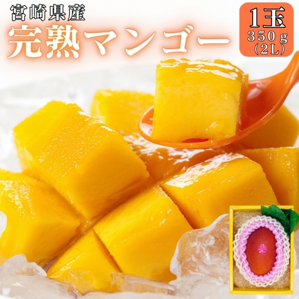 宮崎県産完熟マンゴー2L1玉