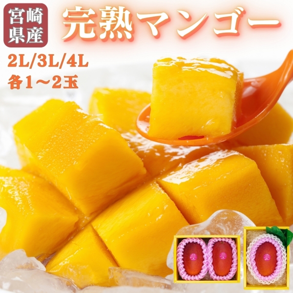 宮崎県産完熟マンゴー　2L/3L/4L（各1～2玉）