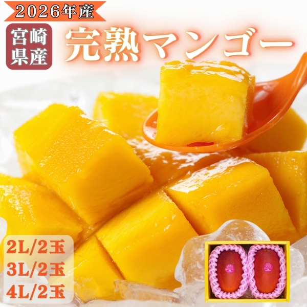 【2026年産】宮崎県産完熟マンゴー　2L/3L/4L（2玉）