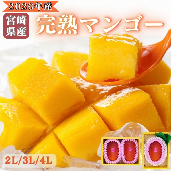 【2026年産】宮崎県産完熟マンゴー　2L/3L/4L（1～2玉）