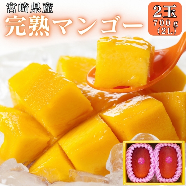 宮崎県産完熟マンゴー2L2玉