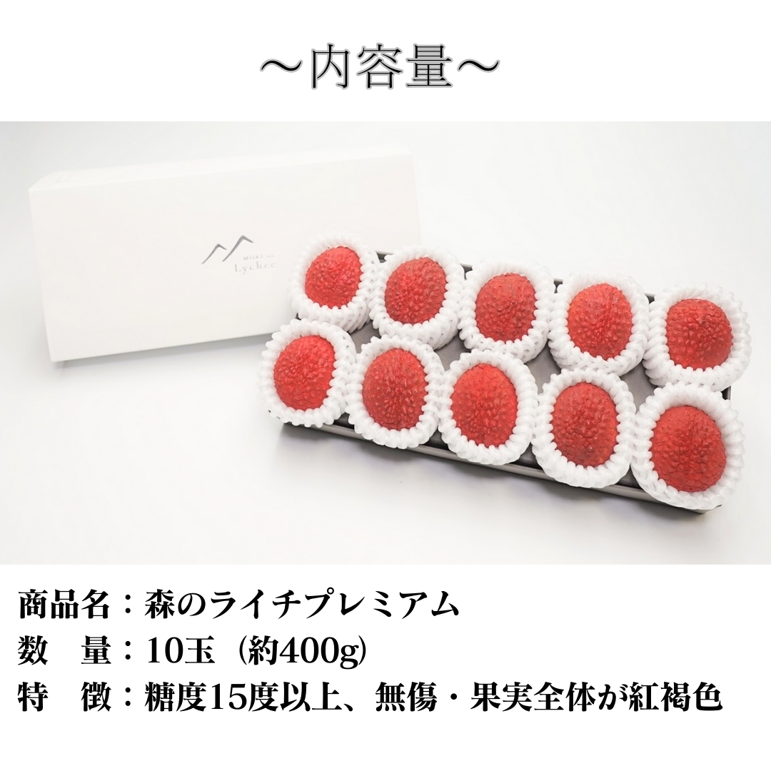 宮崎県産森のライチプレミアム 洋康青果