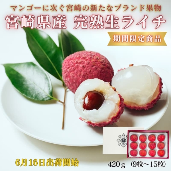 【期間限定】宮崎県産完熟生ライチ（送料込み）