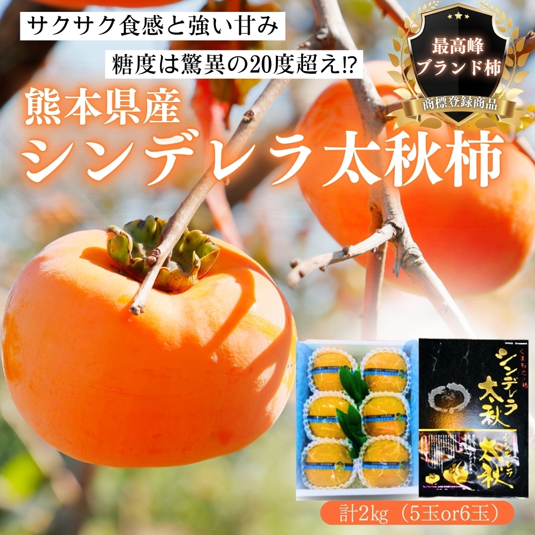 熊本県産 シンデレラ太秋柿2㎏ 洋康青果