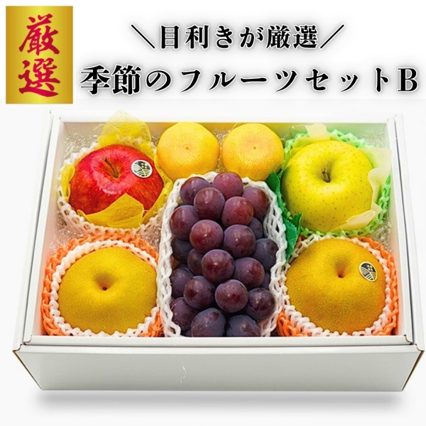 季節のフルーツセットB
