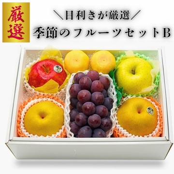季節のフルーツセットB 洋康青果