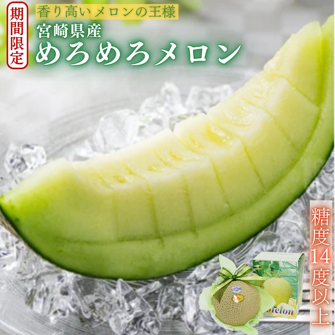 【期間限定･産地直送】宮崎県小林市産めろめろメロン（1玉or2玉）