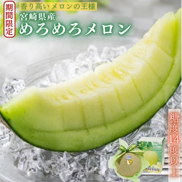 【期間限定･産地直送】宮崎県小林市産めろめろメロン（1玉or2玉）