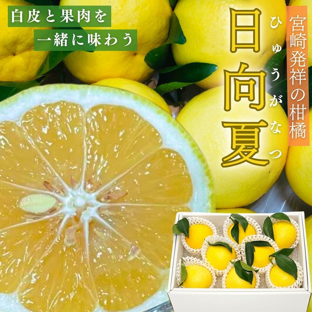 【期間限定・産地直送】宮崎県産温室日向夏