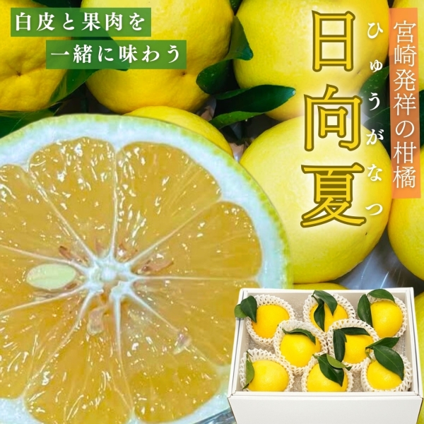 【期間限定･産地直送】宮崎県産温室日向夏（8玉or12玉）