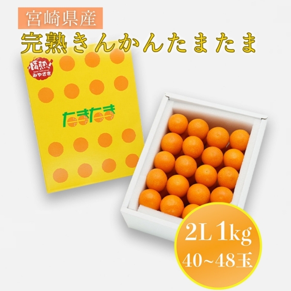 【糖度16度以上！】宮崎県産 完熟きんかんたまたま（2L/1㎏/40～48玉）