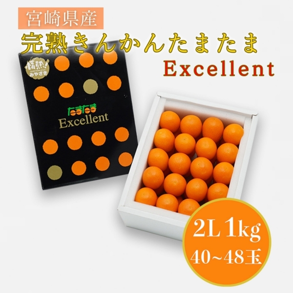 【糖度18度以上！】宮崎県産 完熟きんかんたまたまエクセレント（2L/1㎏/40～48玉）