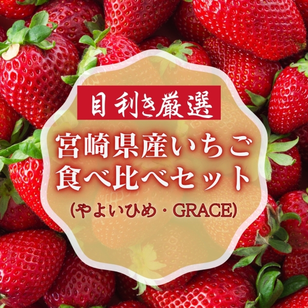 宮崎県産 いちご食べ比べセット（やよいひめ・GRACE）