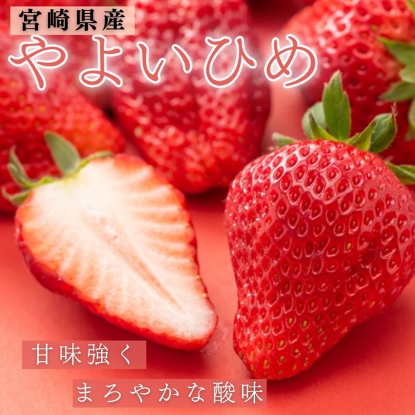 宮崎県産 やよいひめ