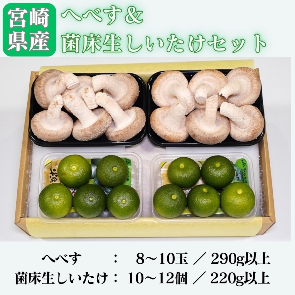 宮崎県産へべす＆菌床生しいたけセット