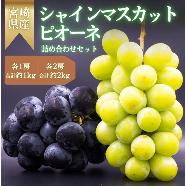 宮崎県産シャインマスカット・ピオーネ詰合せ