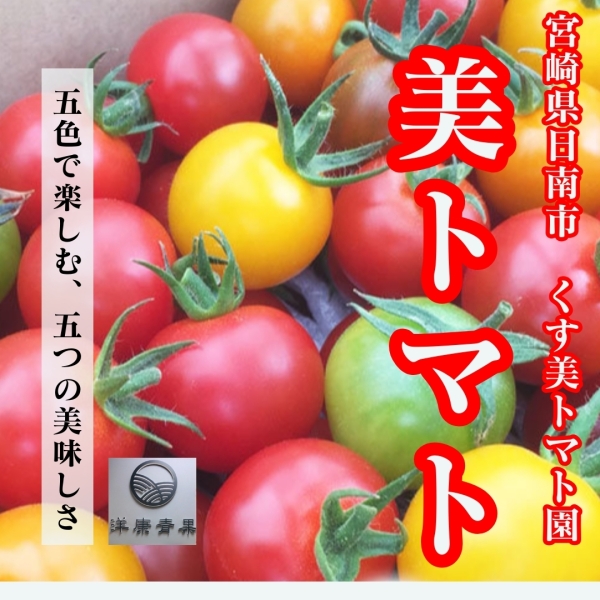 【期間限定】美トマト（宮崎県・くす美トマト農園）
