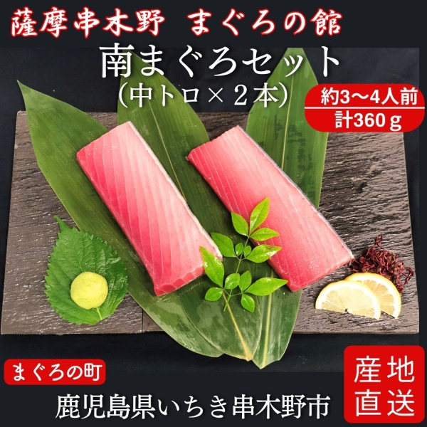 南まぐろセット（中トロ2本）